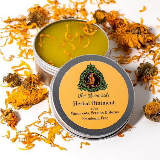 Herbal Ointment | Alternative to Aquafor and Neosporin - Koi Botanicals