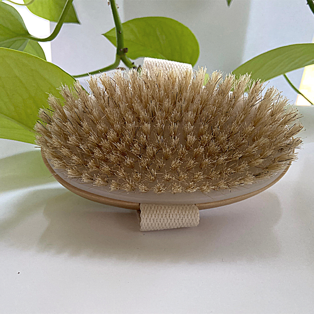 Dry Brushing Body Brush | Detox & Exfoliate - Koi Botanicals